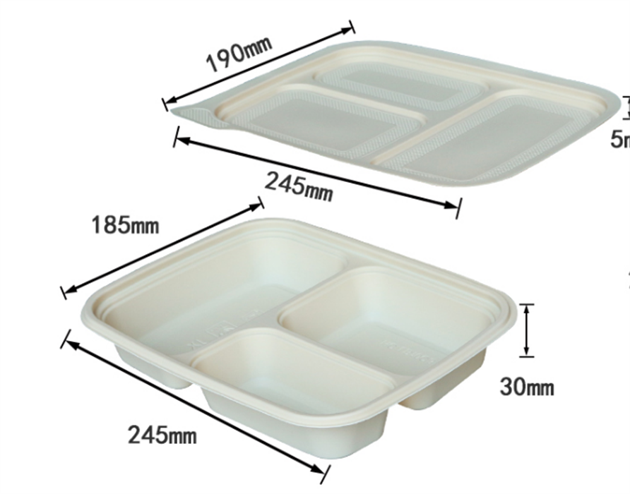 Bio-degradable lunch box from mmcis china 
